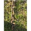 Image 3 : 12' X 3/8" CHAIN (NO HOOKS)