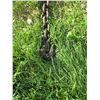 Image 3 : 15' X 3/8" CHAIN C/W 2 HOOKS