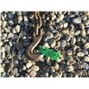 Image 2 : 12' X 5/16" CHAIN C/W 2 HOOKS
