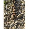 Image 3 : 12' X 5/16" SPINNING CHAIN C/W 2 HOOKS