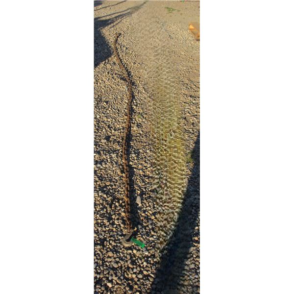 13' X 1/2" CHAIN C/W HOOKS