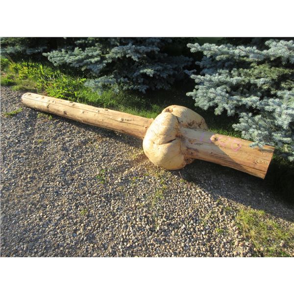 BURROW APPROX. 20" X 26" NOB TRUNK (APPROX. 10' X 9")