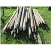 Image 3 : PILE C/W APPROX. 30 FENCE POSTS (4 - 6")