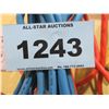 Image 2 : 2 - EXTENSION CORDS (APPROX. 10' & 20')