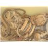 Image 1 : BIN C/W WOOD BLOCK & TACKLE (PULLEYS)