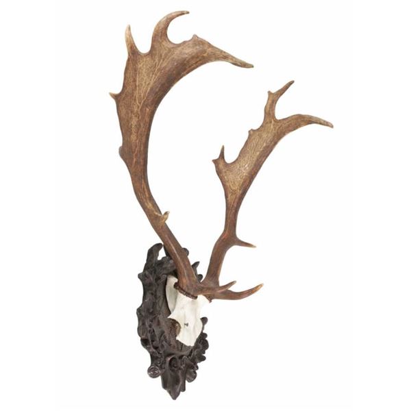 19th C. Eckartsau Ferdinand & Kaiser Fallow Deer