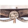 Image 15 : 19th C. Ockert's Jagd-Album & Antler Frame Carved