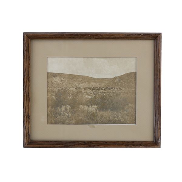 D. F. Barry Custer Battlefield Photo, 1886 RARE