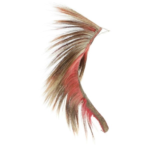 Nez Perce Roach from Slickpoo Family Lapwai, ID