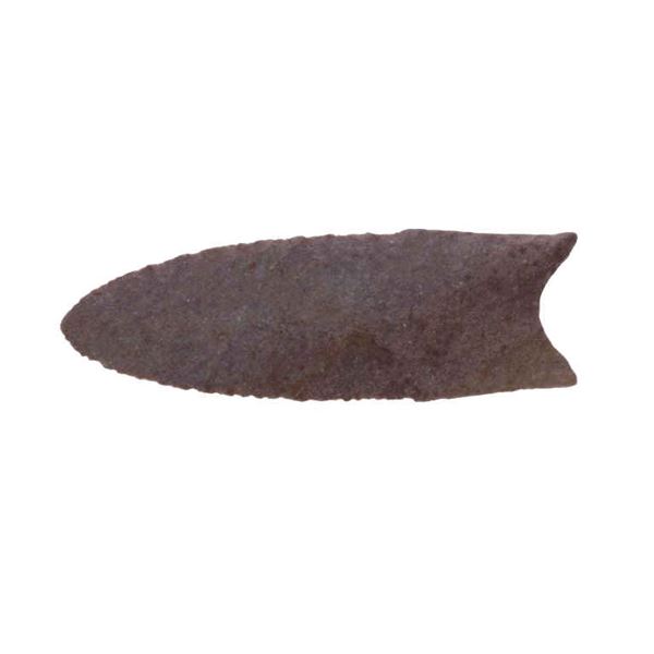 Clovis Fluted 3-inch Fine Paleo Period Point
