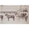 Image 4 : F.J. Haynes Mammoth Stagecoach Yellowstone 1880