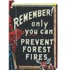 Image 4 : Smokey The Bear Embossed Polychrome Sign