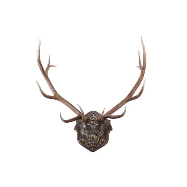 19th C. Eckartsau Castle Ferdinand & Kaiser Mount