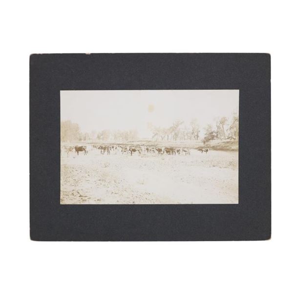 Evelyn Cameron Terry, Montana Woman Photographer