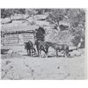 Image 6 : 19th-Century Hunting Trapping Cabin Wetherills, CO