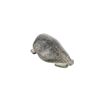 Image 5 : Early 1900 Inuit Steatite Walrus Carving w/ Tusks