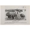 Image 6 : "Buffalo Bill's Own Story" Salesman's Sample 1917
