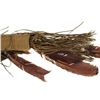 Image 6 : Ute Native American Quiver & Arrows c. 1990s
