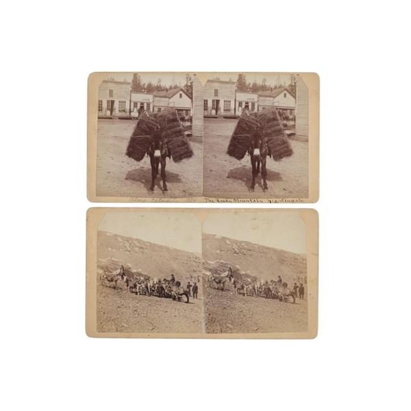 Alma, Colorado Stereoview Photographs 1870-80s (2)