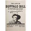 Image 5 : Buffalo Bill and Kit Carson Children's Books 1930s