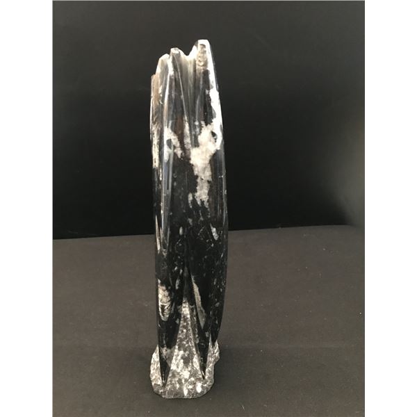 14 INCH ORTHOCERAS FOSSIL