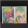 Image 1 : LOT OF 2 HOUSE OF MYSTERY COMICS (DC COMICS)