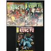 Image 1 : EPIC COMICS DEADLY HANDS OF KUNG FU COMIC BOOK LOT