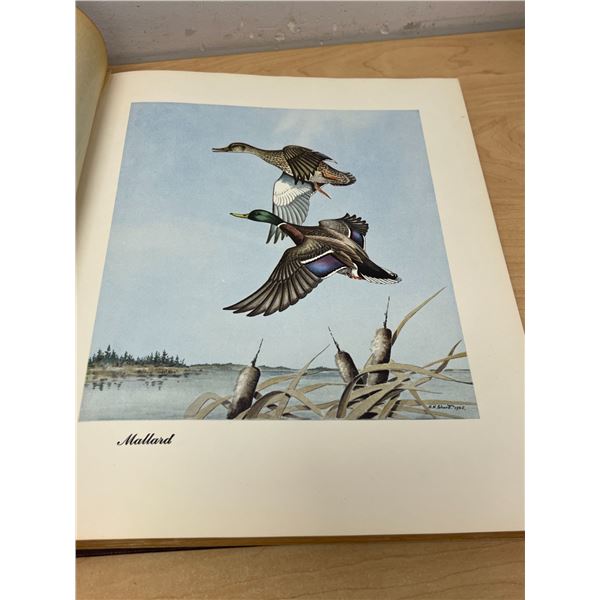 1948 Know Your Ducks and Geese Book by Shortt & Cartwright