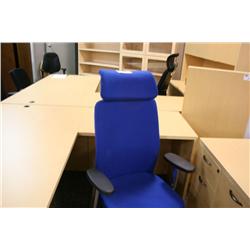 Blue  Multi Lever Highback Executive Chair