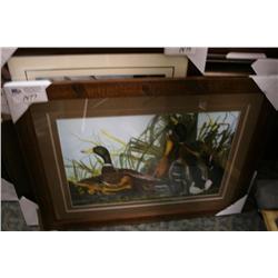 Framed Print Ducks