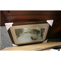 Framed Print Eagle