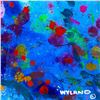Image 2 : Untitled Abstract by Wyland Original