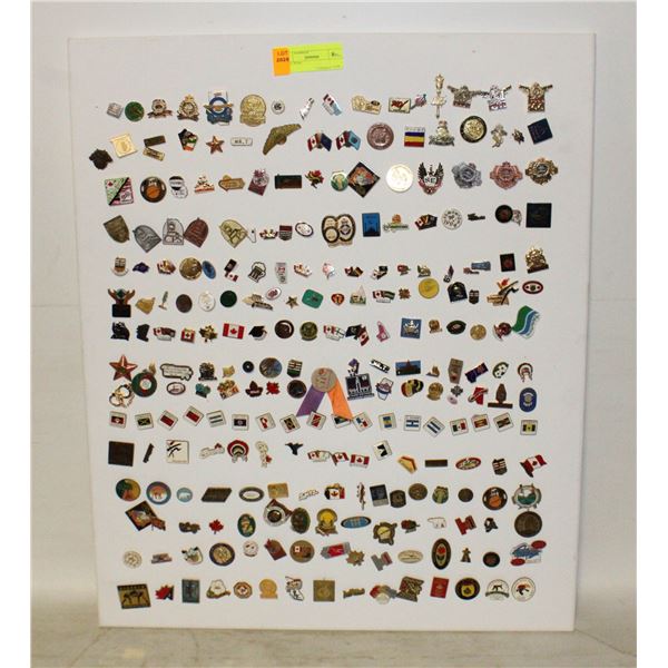 LAPEL PINS