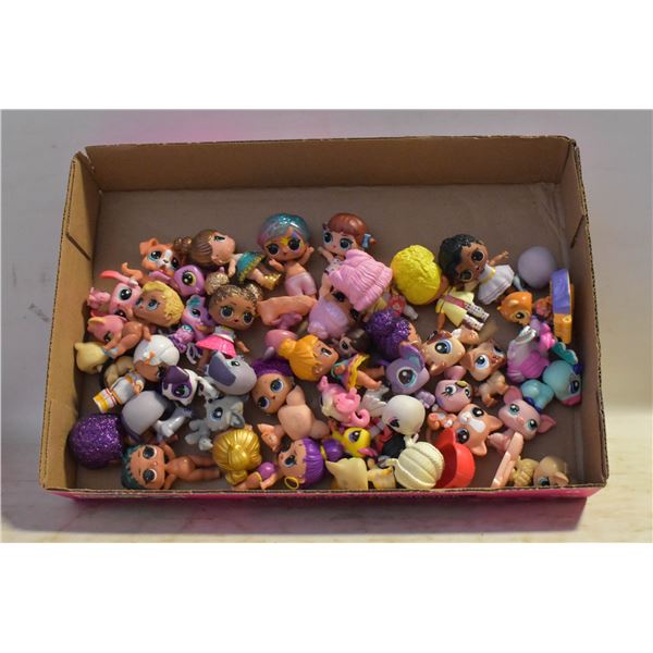 FLAT OF LOL AND PET DOLLS