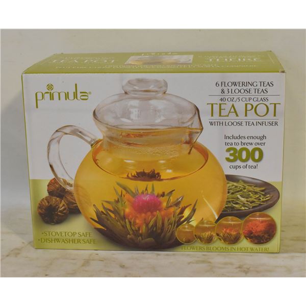 NEW PRIMULA TEAPOT WITH FLOWERING &
