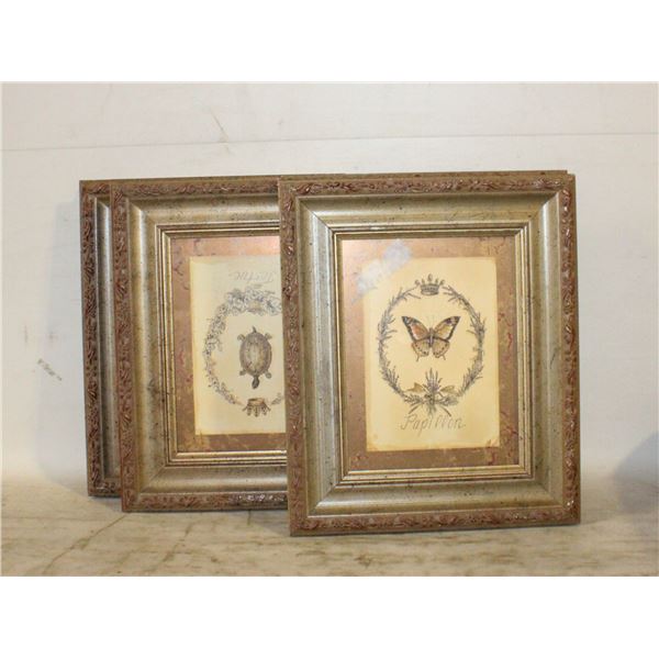 LOT OF 4 INSECT PICTURE FRAMES