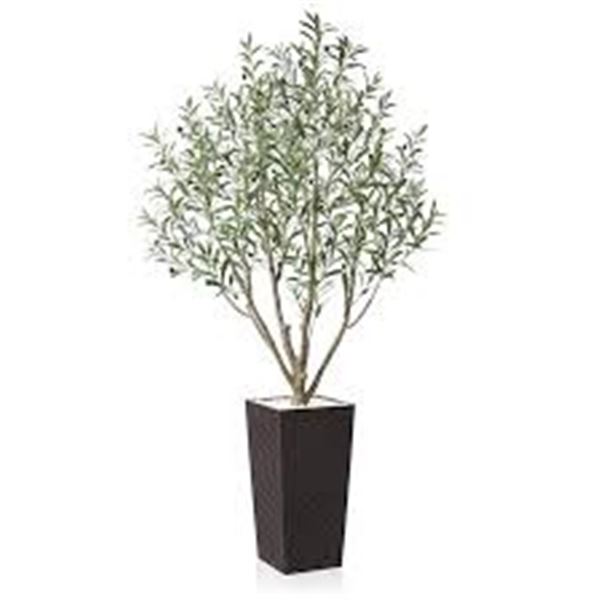 NEW WITH BOX 6FT ARTIFICIAL OLIVE TREE BROWN