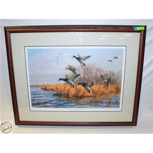 HAND SIGNED AND NUMBERED DUCKS UNLIMITED GARY MOSS