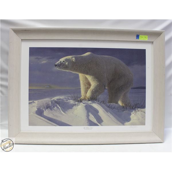 POLAR BEAR SIGNED DANIEL SMITH LIMITED EDITION