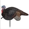 Image 1 : Primos Lil' Gobbstopper Jake Turkey Decoy, New