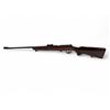 Image 2 : TOZ 17-01 Bolt Action Rifle .22LR 21" Barrel Wood Stock