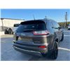 Image 3 : JEEP  CHEROKEE 2019 T-REPO-SMOG-2 DAYS