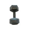 Image 1 : E360 Endurance Hex Rubber Dumbbell 15LB Set of 2