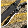 Image 1 : 16″ Defender Xtreme Full Tang Hunting Knife With Black Rubber Handle #9275