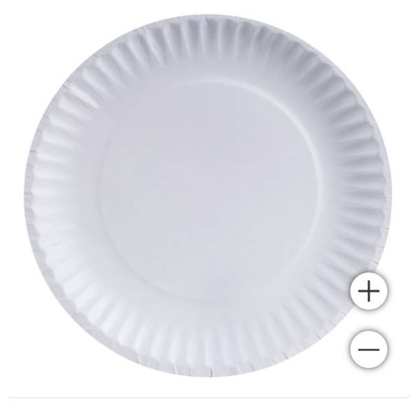 Green Label 9-in Paper Plates12 packs of 100