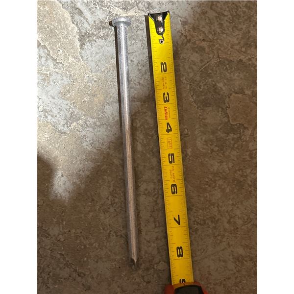 Lot of Ducnese Steel Nails Approximately 6 Inches Long