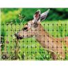 Image 1 : Easy Gardener Deer Netting, 7 ft x 100 ft, 700 sq ft