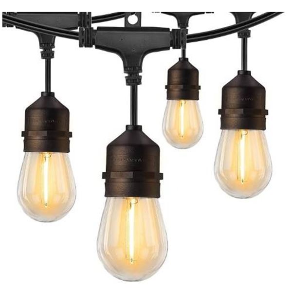 Zilotek Commercial Light String with 24 Sockets and 48-Foot Length