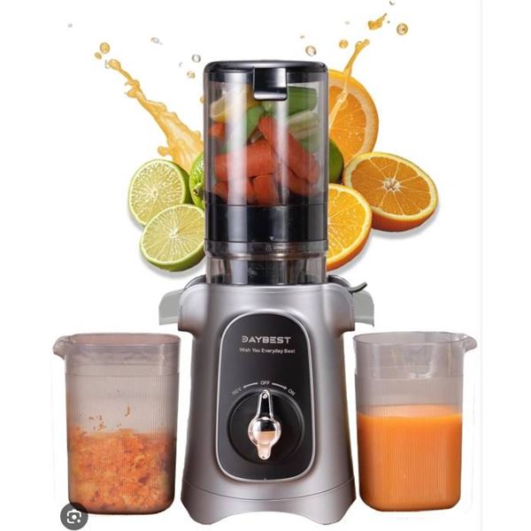 DAYBEST Y1 2-in-1 Cold Press Juicer with 120W Motor