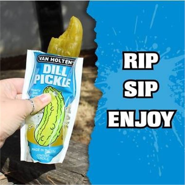 Van Holten’s Dill Pickle in a Pouch, 225 mL, 12-Pack